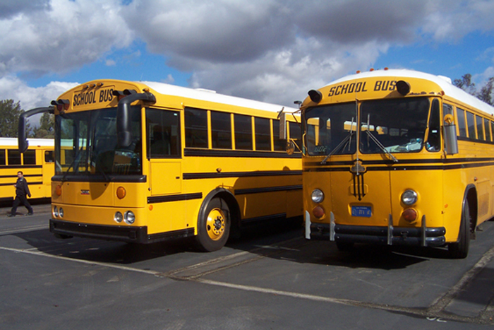 School Busses
